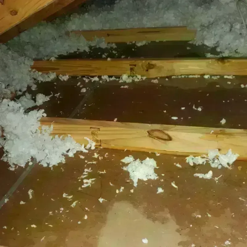 Attic Water Damage in Shorewood, MN