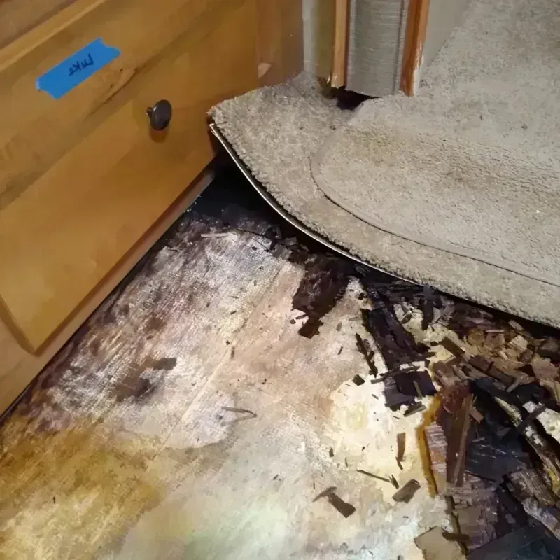 Wood Floor Water Damage in Shorewood, MN